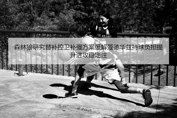 森林狼研究替补控卫补强方案缓解爱德华兹持球负担提升进攻稳定性